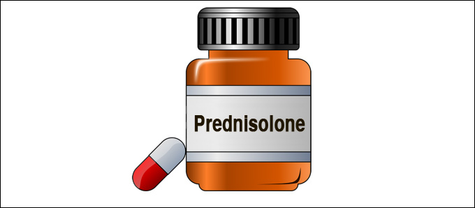Prednisolon uten resept